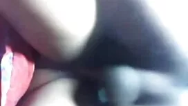 চিত্কার বিএফ সেক্সি  ...