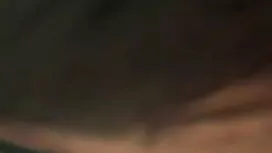 শিংযুক্ত প্রবেশ নিষি ...