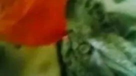 অবীগল Dupree, End Of ...