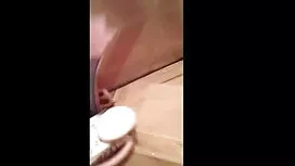 ইনসেক্স - পূর্ণতা পা ...