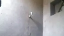 টুইটার, হেইজেল সেক্স ...