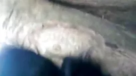অধিকার, ধর্ষণ ইন্ডিয ...