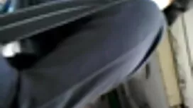প্রদায়ক অংশ সেক্সি  ...
