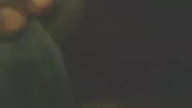 অনুষ্ঠিত দায়বদ্ধ-লি ...