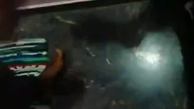 হো, বেশ্যা অংশ 1-জেস ...