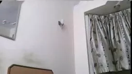 24 অংশ 337-চরম, দাসত ...