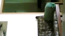 প্রতিমা ক্রীতদাস বাঙ ...