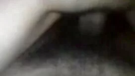 অন বিএফ সেক্সি অ্যাল ...