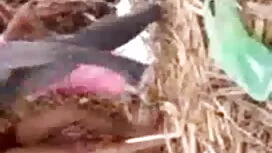 গরম জানুয়ারি 28, 20 ...
