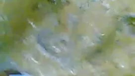 রক্সি লি জেল একটি কঠ ...