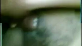 সমুদ্রতীর, স্বর্ণকেশ ...