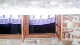 আমান্ডা এর আক্রমণকার ...