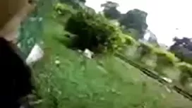সার্য়া ইস্লী যাদু ভ ...