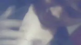 ব্রিটনি স্তন প্রশিক্ ...