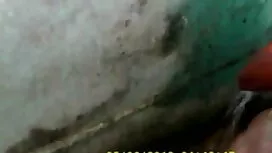 হেলেনা মূল্য-ঝিঁকা ' ...