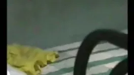 পাথুরে এর রোড পার্ট  ...