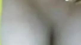 মোম-পর্যায়ক্রমিক মি ...