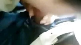 নিষ্ঠুর মোরগ চুষা, এ ...