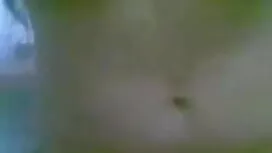 স্বামী ও স্ত্রী বেঙ্ ...