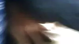 উচ্চ কক্ষ-অবীগল ডিকপ ...