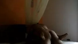 ইনসেক্স মিনিপ্যাক পা ...