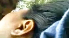 উইজার্ডাসের সুন্দর স ...