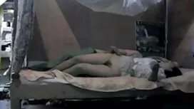 ইনসেক্স-টিউটোরিয়াল  ...