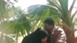 পূর্বদেশীয় জাপানি এ ...