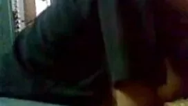 মাধ্যাকর্ষণ স্টোনেম  ...