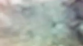 মাটো পুষ্প অংশ 1-লন্ ...