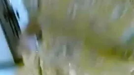 ক্ষুদ্র ওটি ডেলিযা চ ...