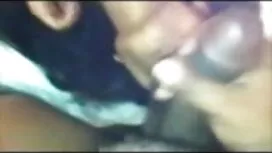 পারফেক্ট বেসরকারি, ব ...