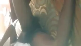গিলটি ইন বেঙ্গলি বিএ ...