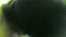 তাই আনত-এইচডি 720 ইন ...