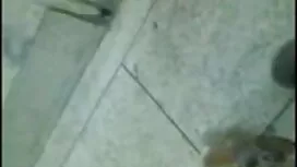 আজ ম্যারিয়ন নাইলন খ ...