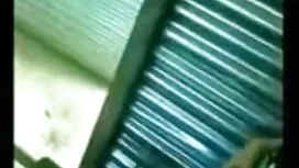 সুন্দরী বাংলাচুদাচুদ ...