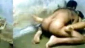 ম্যাডি অপেশাদার বাঁড ...