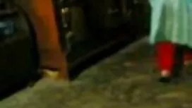 পর্নোতারকা, বাংলা সে ...
