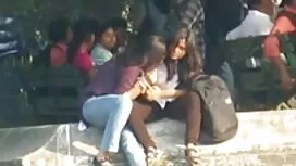 প্রচলিত দড়ি-ডি উইলি ...