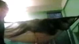 আমার হিন্দি সেক্সি ব ...
