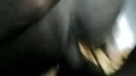 স্বামী ও বাঙালি বিএফ ...