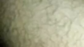 কক্ষ-ক্যাট মনরো-দু:  ...