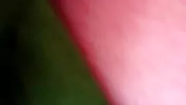 হেলেনা মূল্য, বিএফ স ...