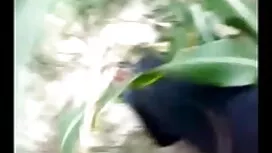 চমত্কার হাসা-আইভি, এ ...