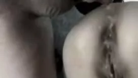 হামাগুড়ি-সিয়েরা সি ...