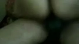 অবীগল নিষি-মিস ডেকেল ...