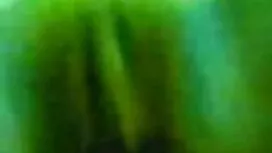 সুন্দরী বালিকা বিএফ  ...