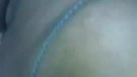 এলিস বেঙ্গলি বিএফ সে ...