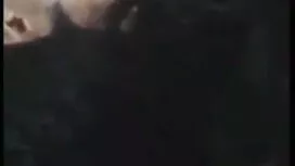 বনি বাঙালি বিএফ সেক্ ...
