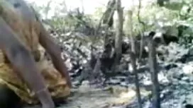 কারাগার বিএফ চুদাচুদ ...